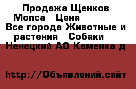 Продажа Щенков Мопса › Цена ­ 18 000 - Все города Животные и растения » Собаки   . Ненецкий АО,Каменка д.